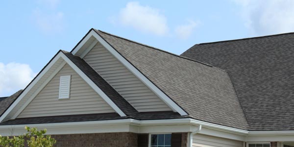 Custom Roof Types